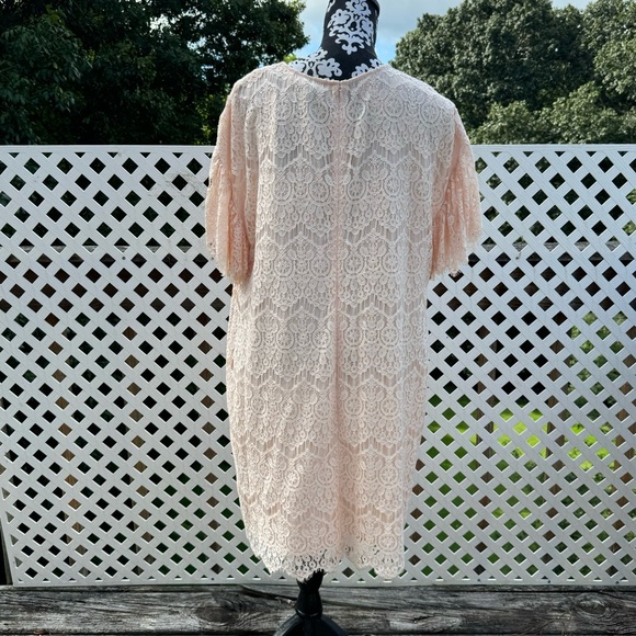 NWT The Limited Lace Mini Dress - Picture 3 of 5